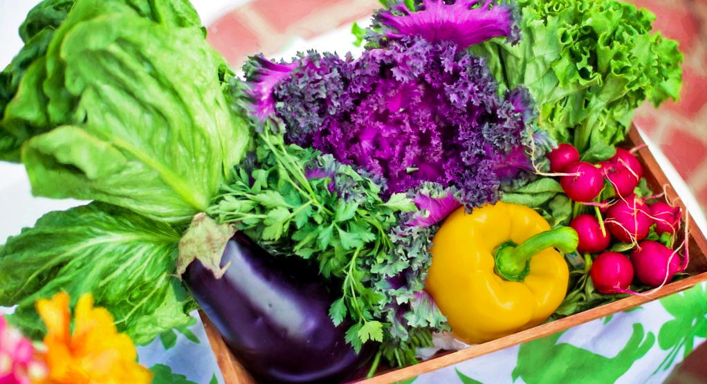 What Are the Best Foods for Immune Support?